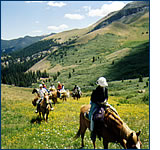 Summer Horse Pack Trips